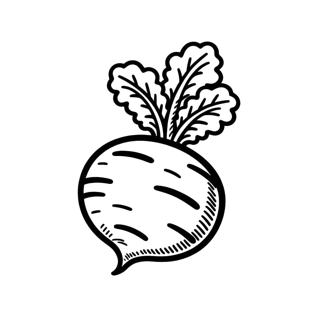 Kolorowanka Narysuj Rzepa prosty