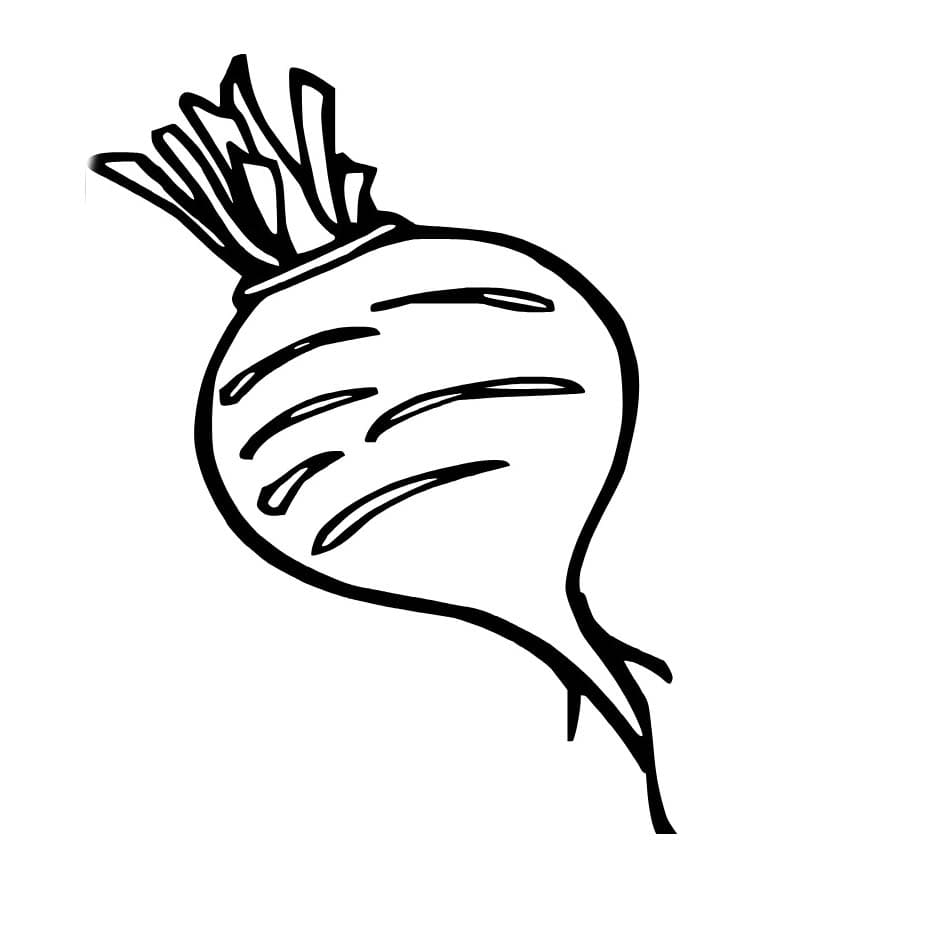 Kolorowanka Narysuj Rzepa wydruku