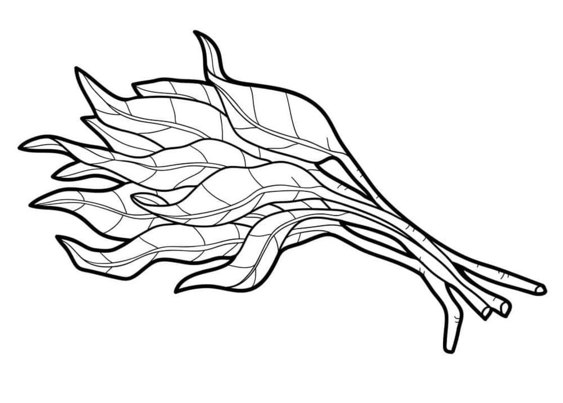 Kolorowanka Narysuj Szpinak bezpłatna prosty do druku