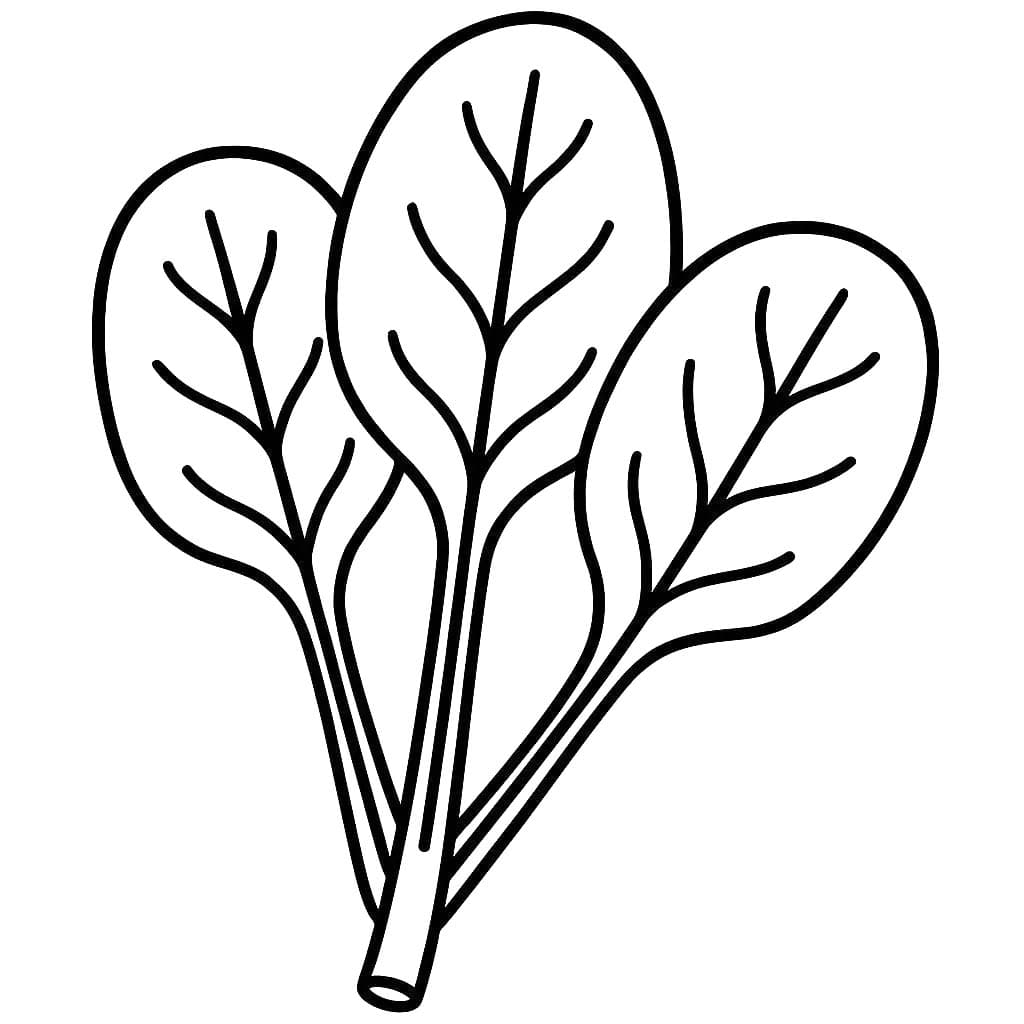 Kolorowanka Narysuj Szpinak bezpłatnie dla dzieci