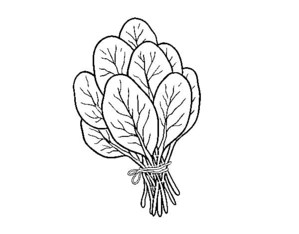 Kolorowanka Narysuj Szpinak bezpłatny wydruku