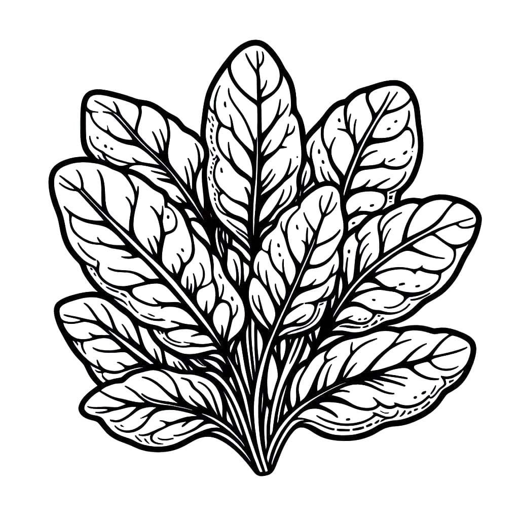 Kolorowanka Narysuj Szpinak dla dzieci