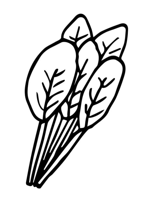 Kolorowanka Narysuj Szpinak do druku dla dzieci