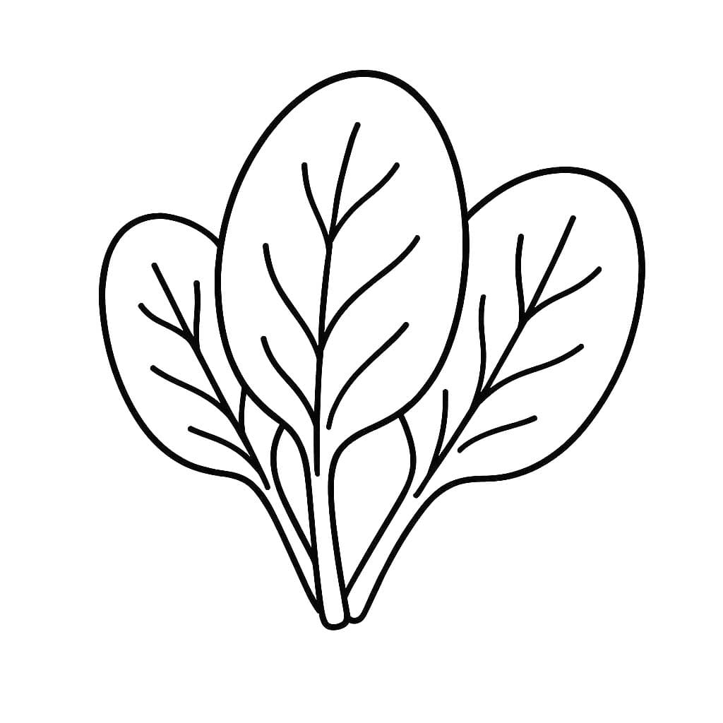 Kolorowanka Narysuj Szpinak łatwy