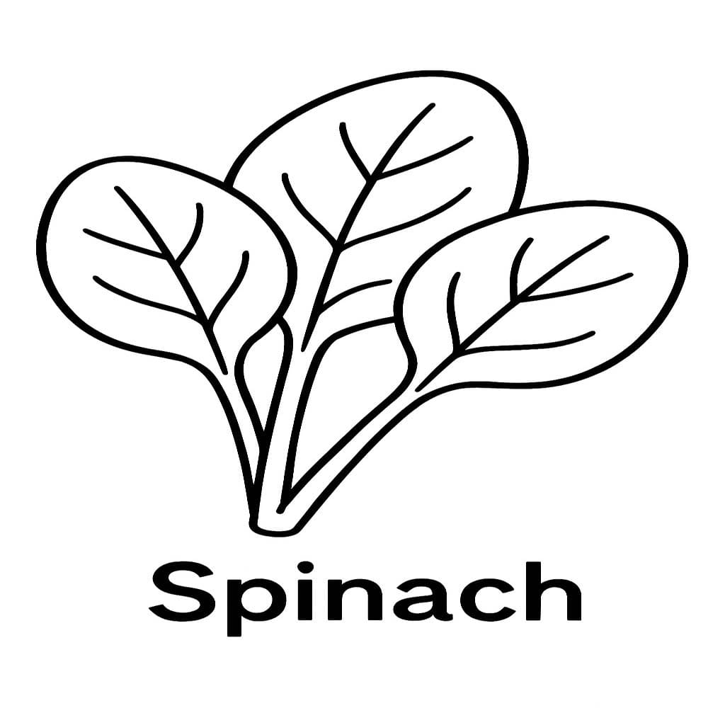 Kolorowanka Narysuj Szpinak prosty