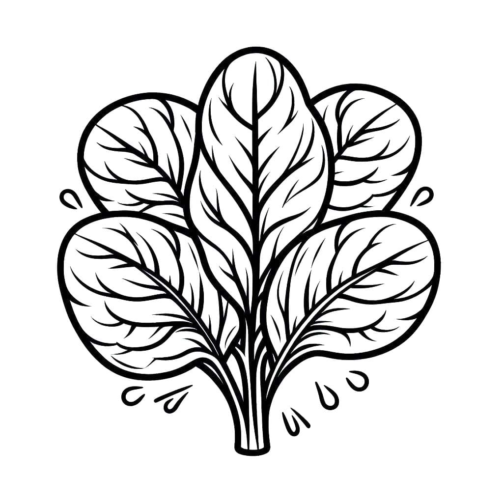 Kolorowanka Narysuj Szpinak