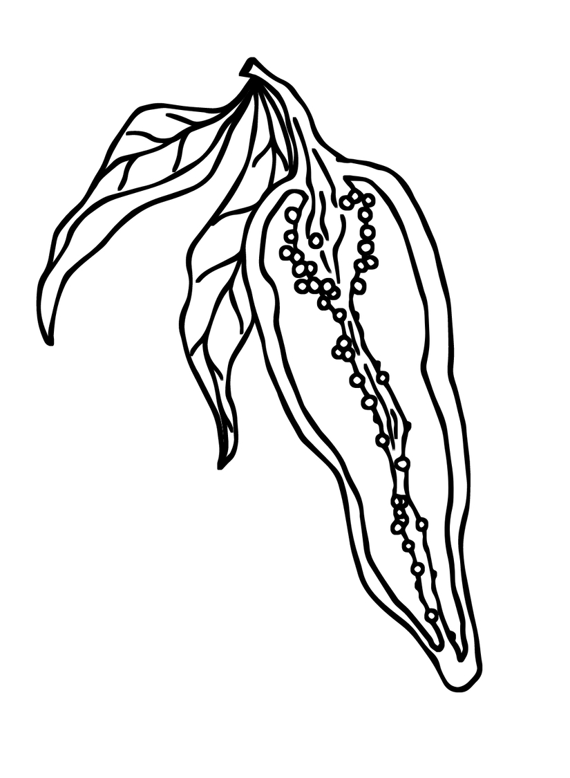 Kolorowanka Papryka do druku