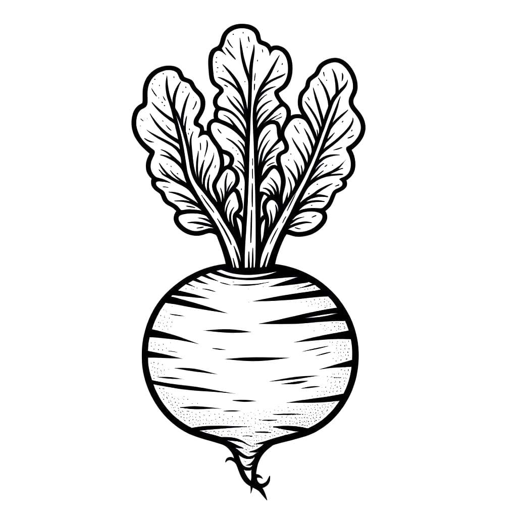 Kolorowanka Rzepa bezpłatnie dla dzieci