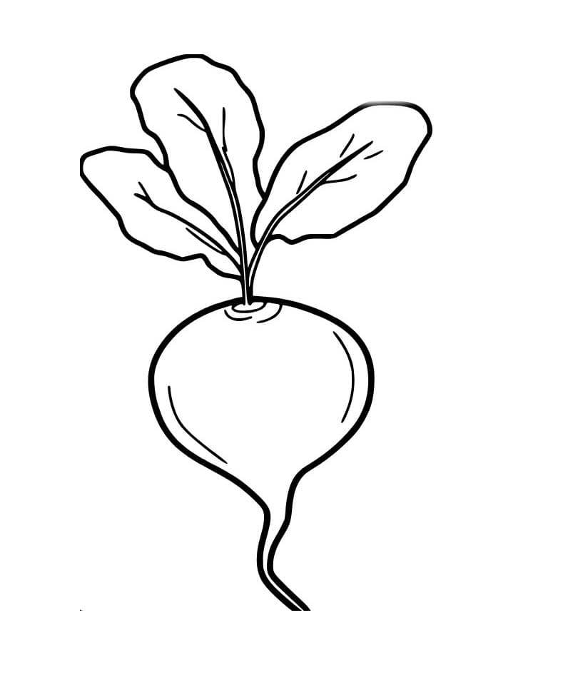 Kolorowanka Rzepa bezpłatny wydruku