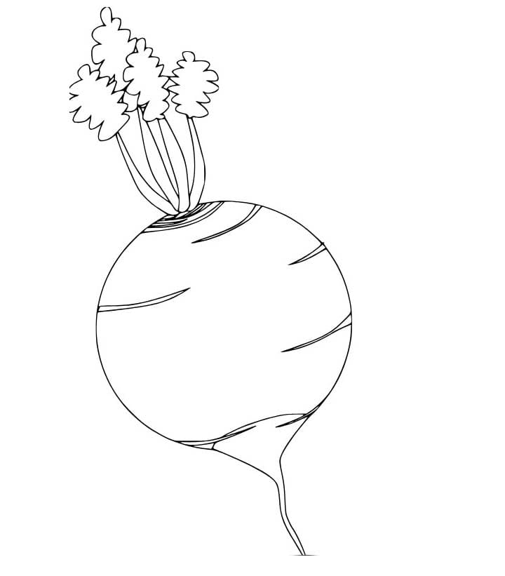 Kolorowanka Rzepa dla dzieci