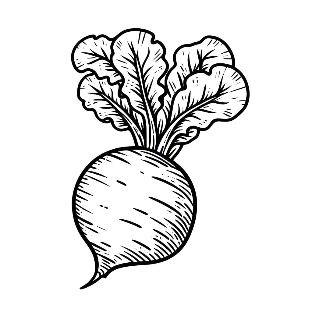 Kolorowanka Rzepa do druku dla dzieci