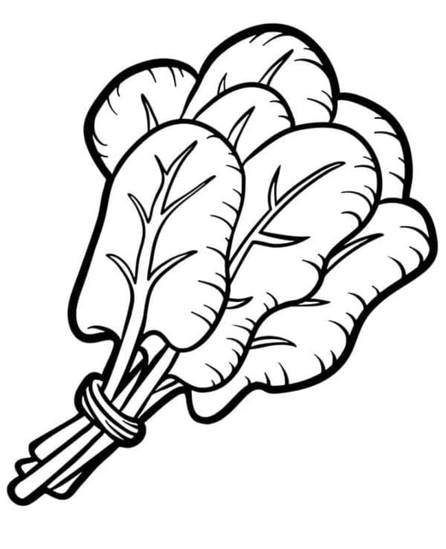 Kolorowanka Szpinak 2