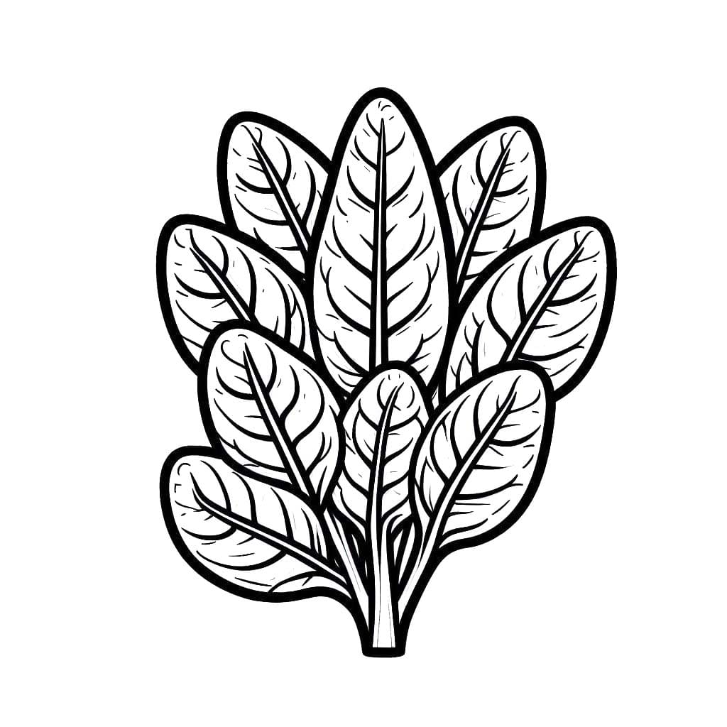 Kolorowanka Szpinak do druku