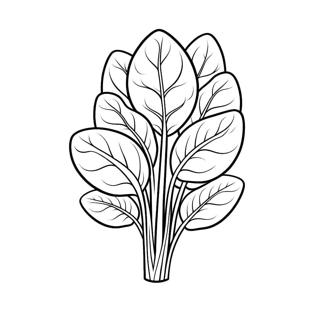 Kolorowanka Szpinak wydruku