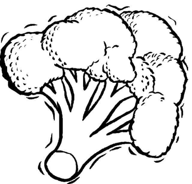 Kolorowanka Brokuły bezpłatny wydruku prosty