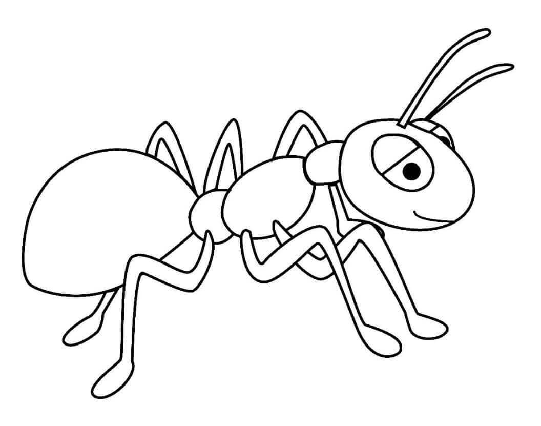 Kolorowanka Mrówki 2