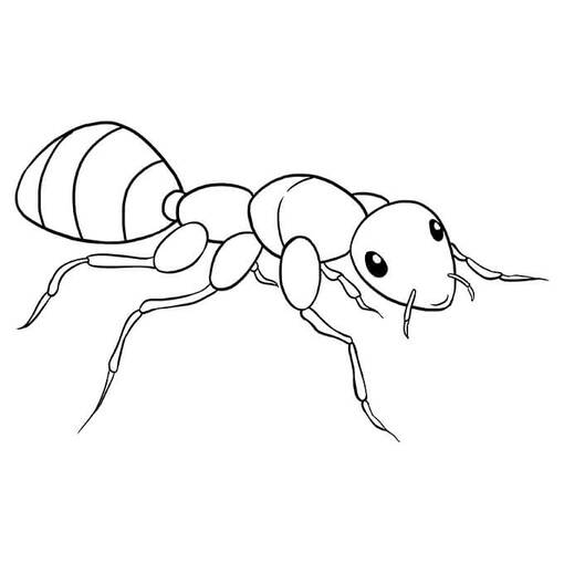 Kolorowanka Mrówki prosty do druku