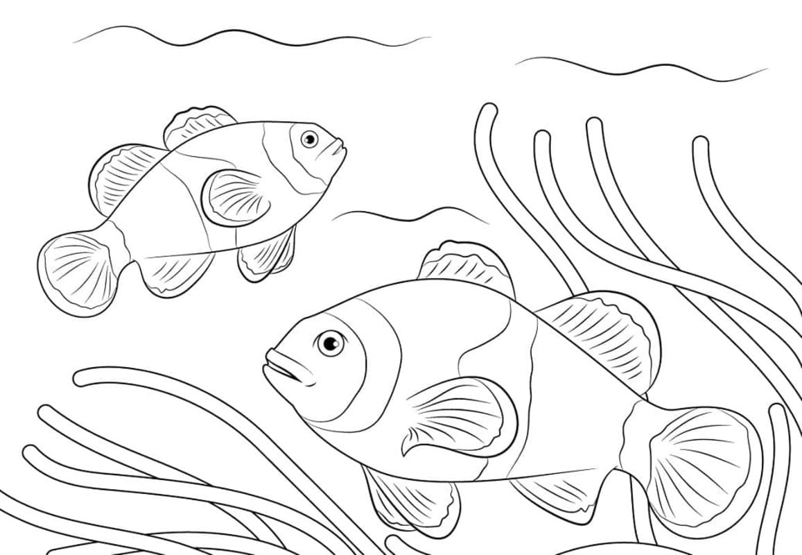 Kolorowanka Narysuj Błazenek