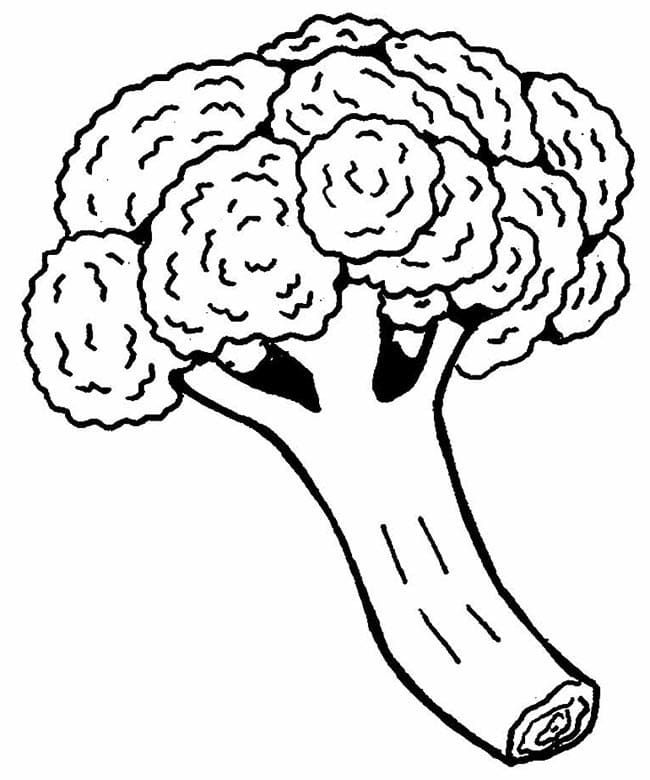 Kolorowanka Narysuj Brokuły wydruku