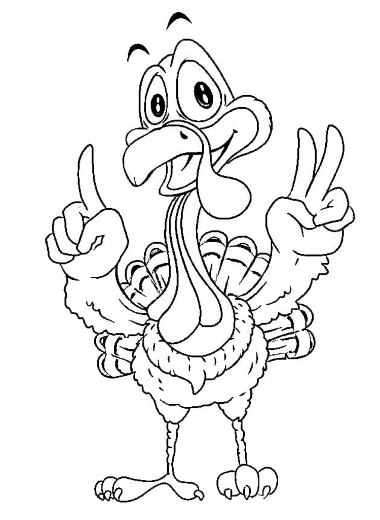 Kolorowanka Indyk bezpłatny