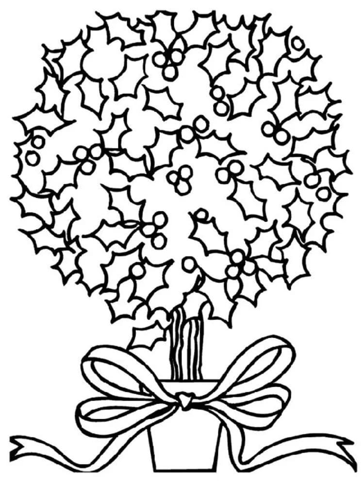 Kolorowanka Jemioła bezpłatny wydruku