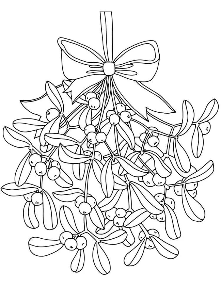 Kolorowanka Jemioła dla dzieci