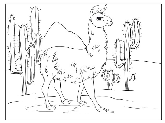 Kolorowanka Lama wydruku