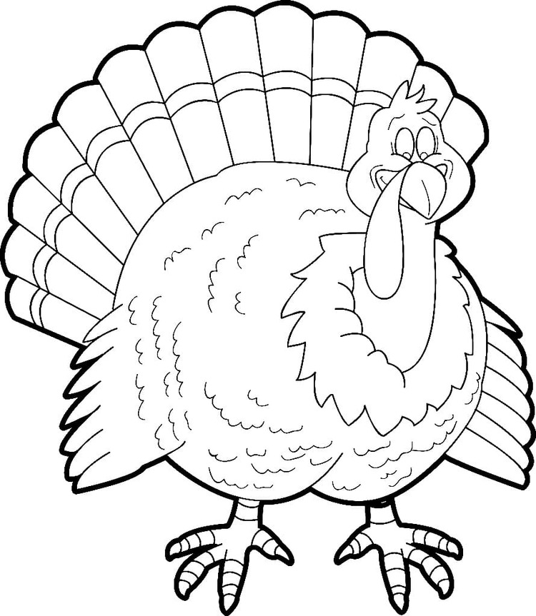 Kolorowanka Narysuj Indyk bezpłatny wydruku podstawowy