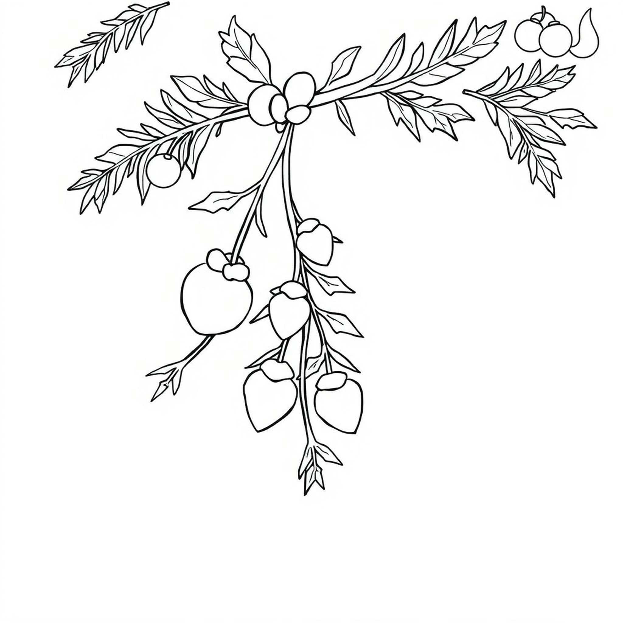 Kolorowanka Narysuj Jemioła bezpłatny wydruku podstawowy