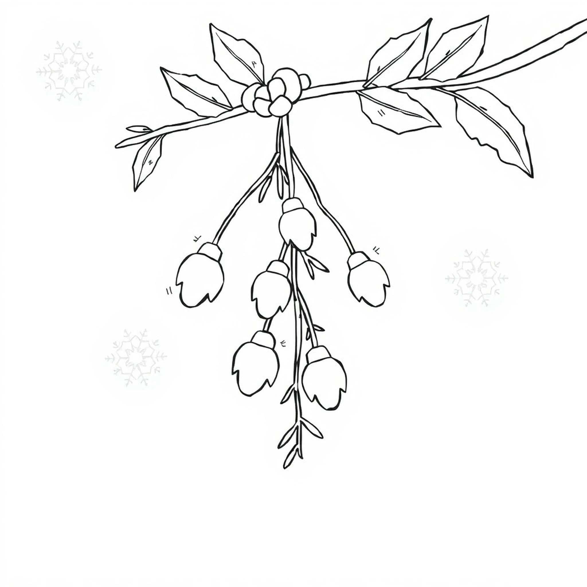 Kolorowanka Narysuj Jemioła bezpłatny wydruku prosty