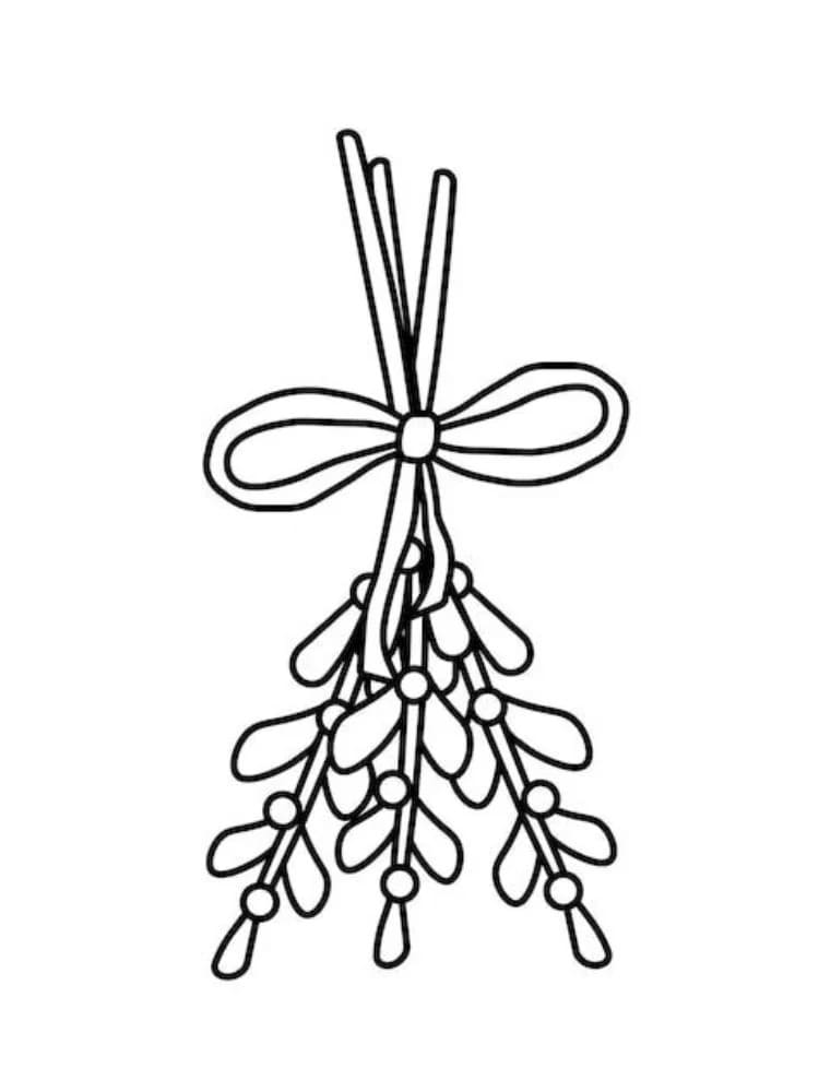 Kolorowanka Narysuj Jemioła podstawowy