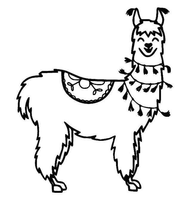 Kolorowanka Narysuj Lama podstawowy