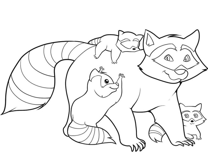 Kolorowanka Narysuj Szop Pracz bezpłatny podstawowy