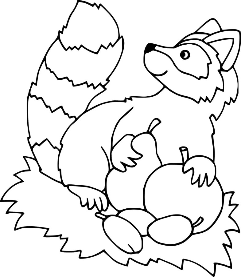 Kolorowanka Szop Pracz 1