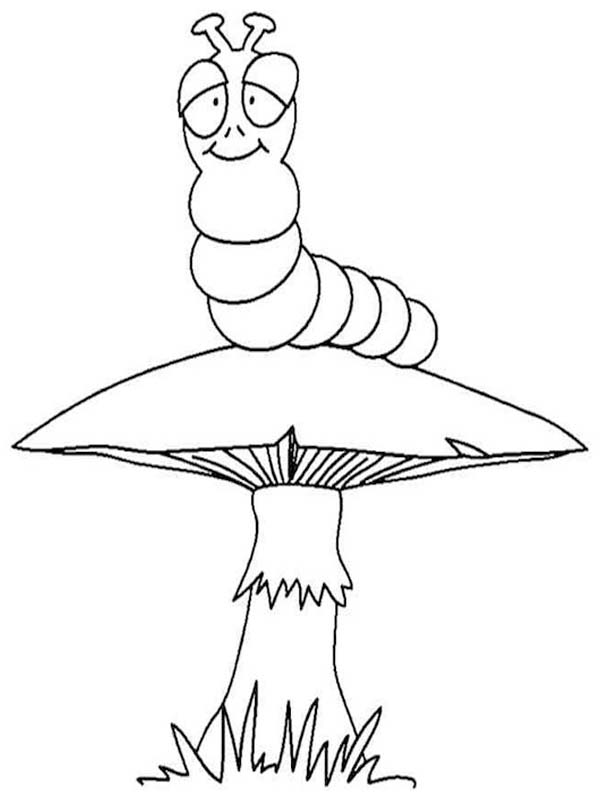 Kolorowanka Gąsienica 8