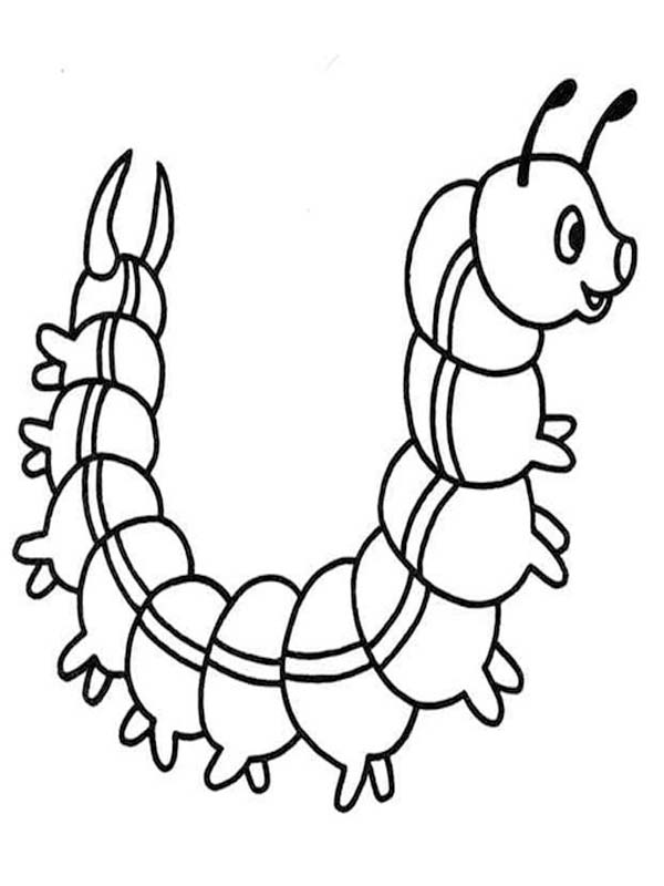 Kolorowanka Gąsienica bezpłatny podstawowy