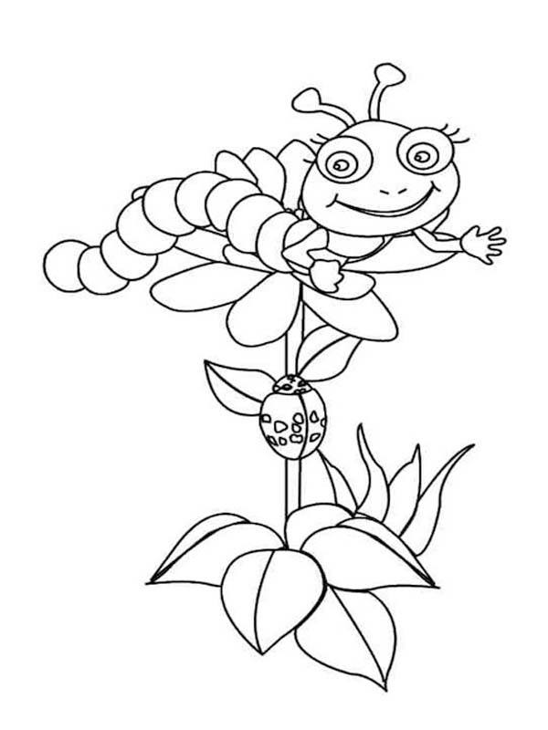 Kolorowanka Gąsienica bezpłatny prosty