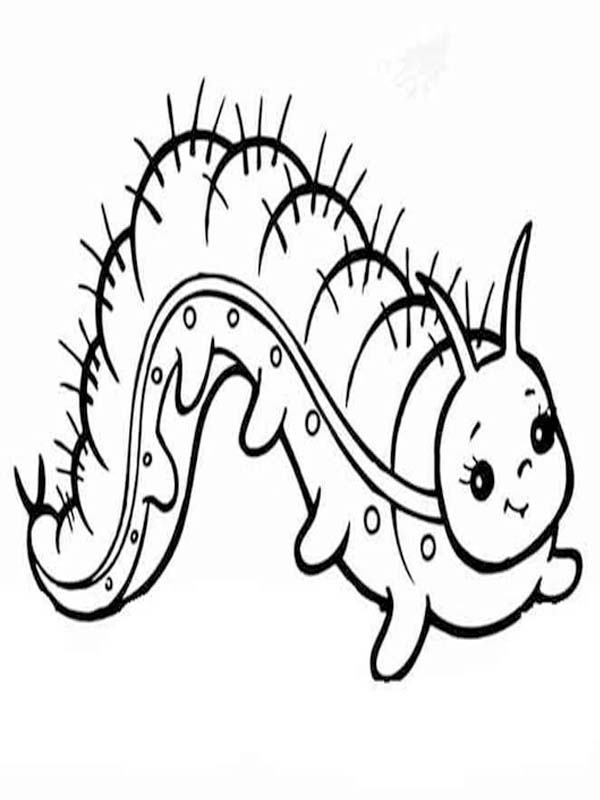 Kolorowanka Gąsienica bezpłatny wydruku dla dzieci