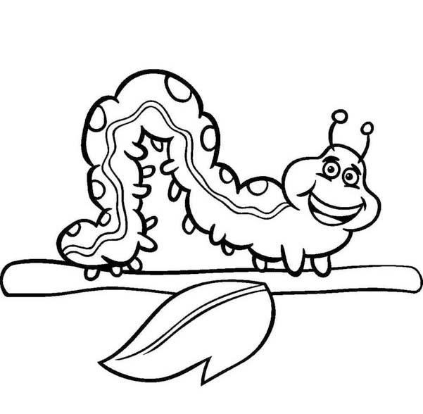 Kolorowanka Gąsienica bezpłatny wydruku