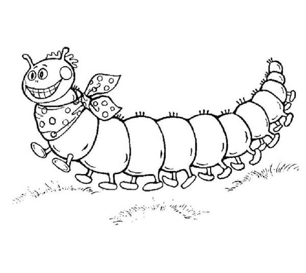 Kolorowanka Gąsienica bezpłatny