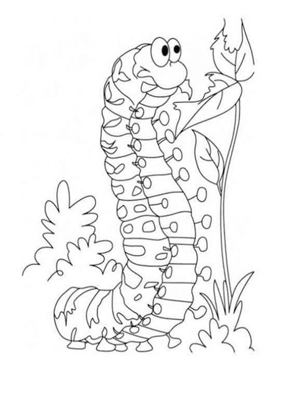 Kolorowanka Gąsienica wydruku dla dzieci