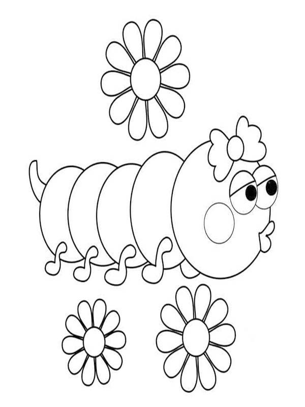 Kolorowanka Narysuj Gąsienica łatwy