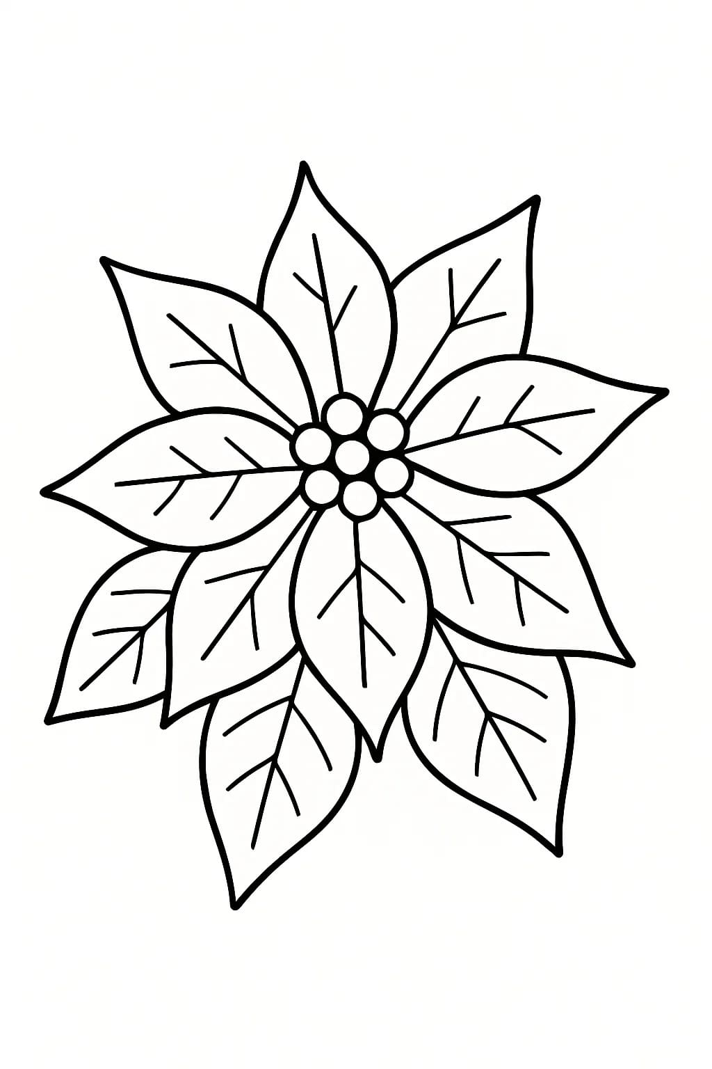 Kolorowanka Narysuj Poinsecja bezpłatny prosty