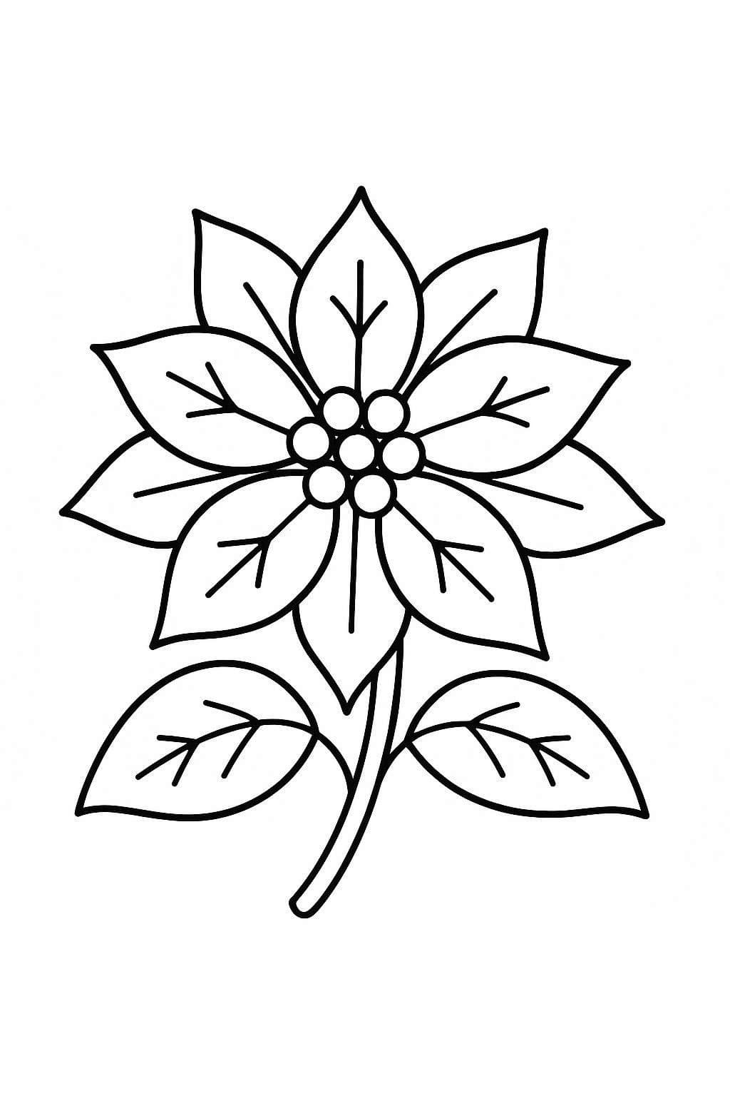 Kolorowanka Narysuj Poinsecja wydruku prosty
