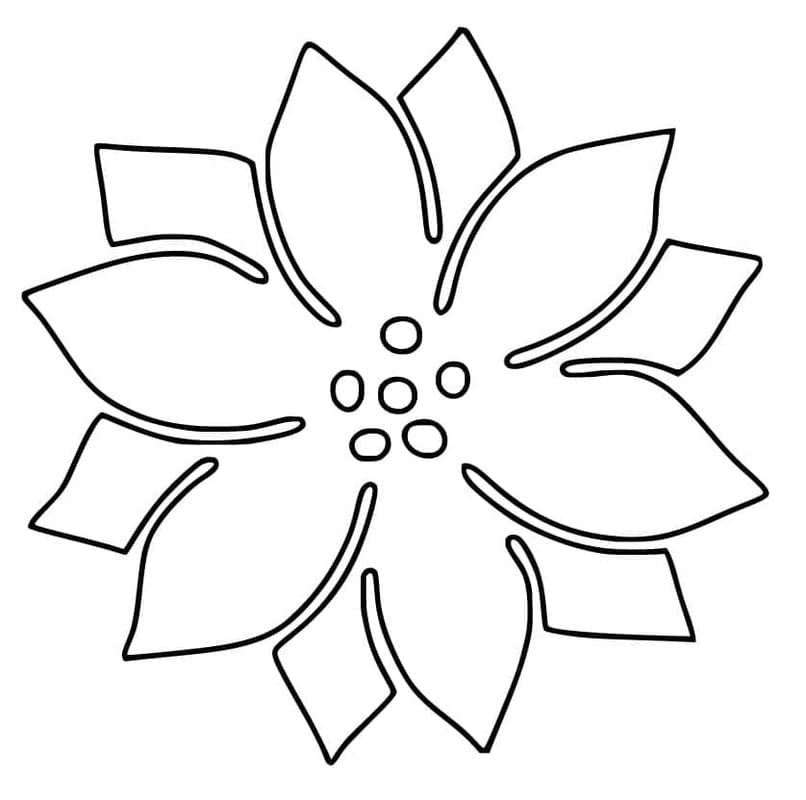 Kolorowanka Poinsecja 3