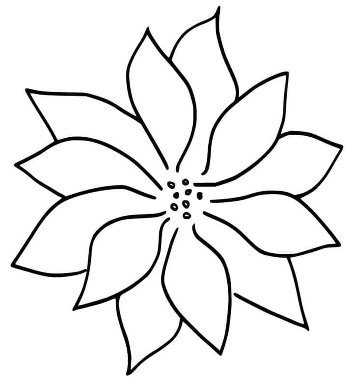 Kolorowanka Poinsecja bezpłatny wydruku dla dzieci