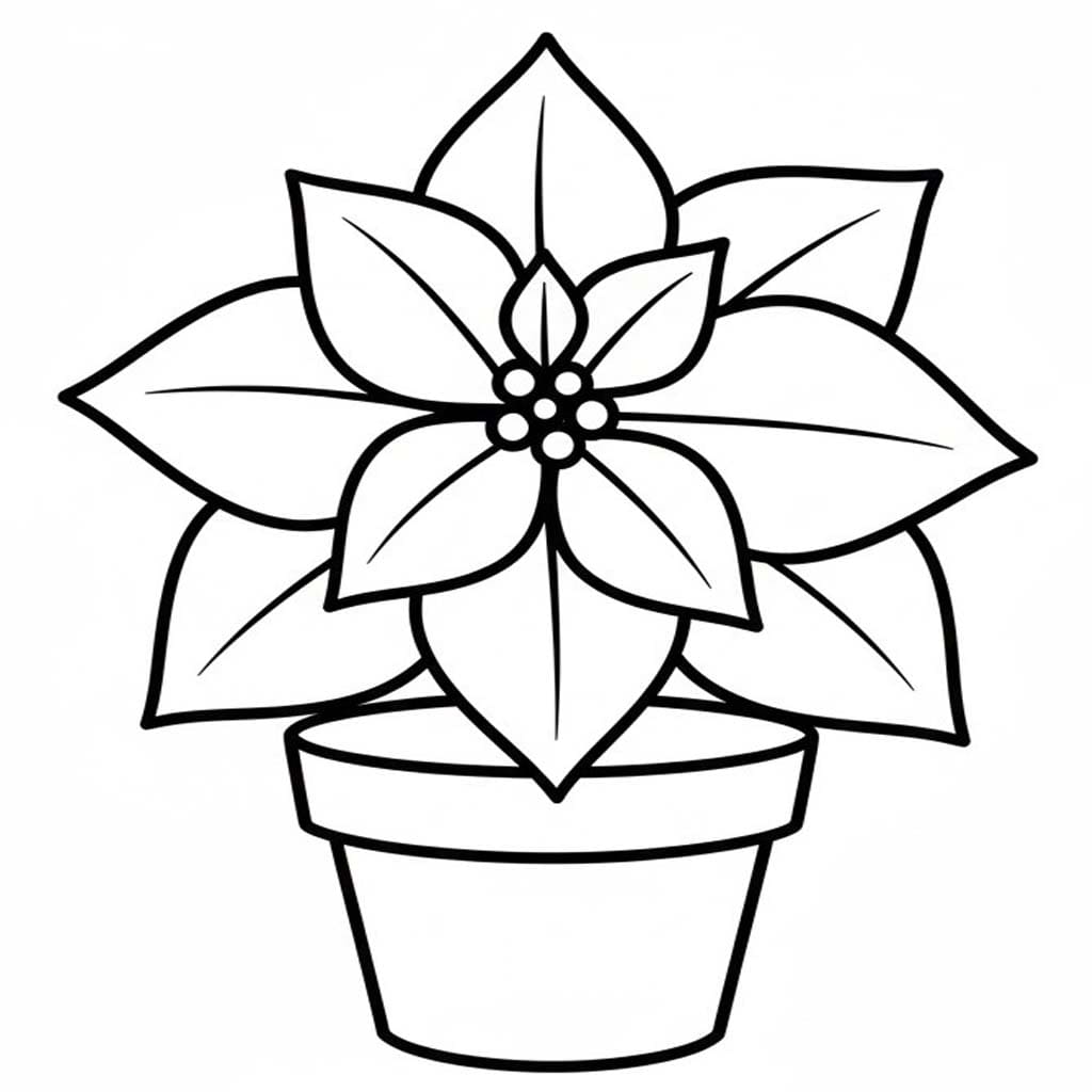Kolorowanka Poinsecja wydruku prosty
