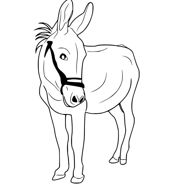 Kolorowanka Narysuj Osioł bezpłatny dla dzieci