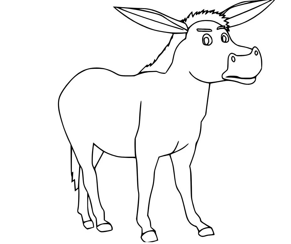 Kolorowanka Narysuj Osioł podstawowy