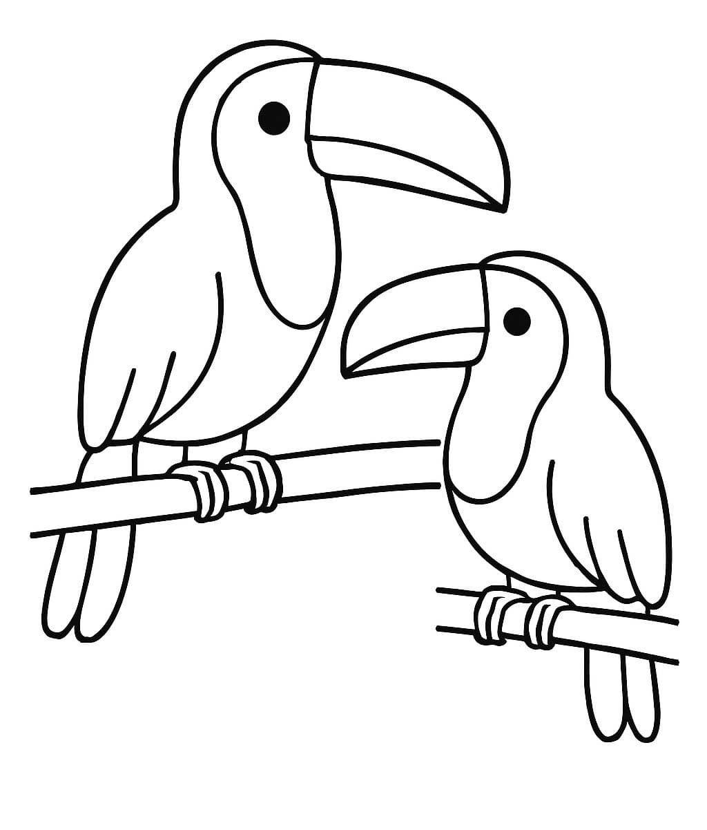 Kolorowanka Narysuj Tukan bezpłatny wydruku prosty